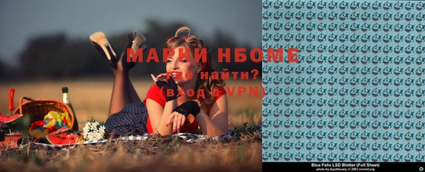 прущие грибы Ростов