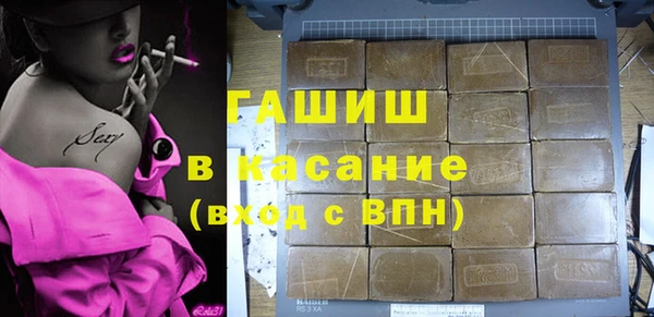 прущие грибы Ростов